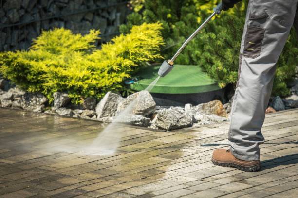 Best Playground Equipment Cleaning  in East Rutherford, NJ